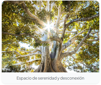 Imagen consejo
